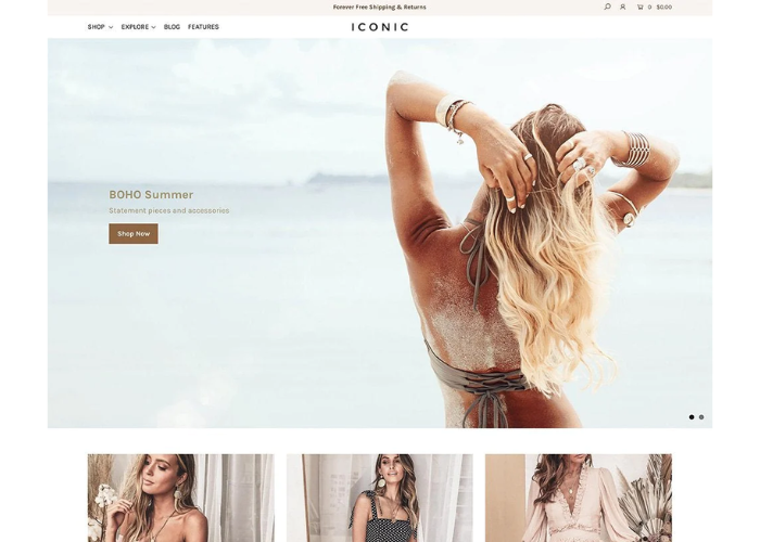 Shopify theme Icon